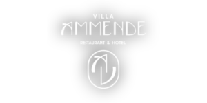 Villa-Ammende logo